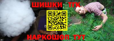 spice Гусев