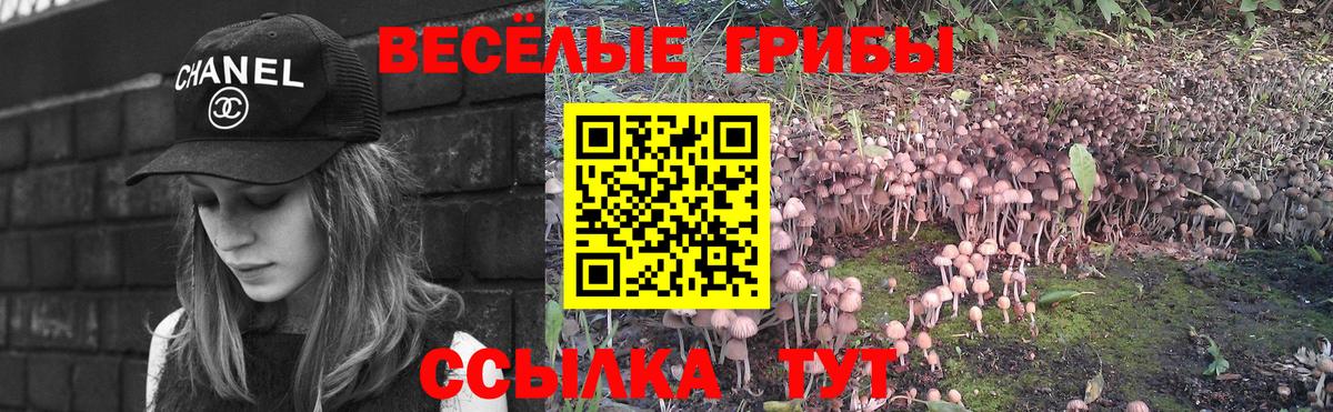 Зеленодольск  Псилоцибиновые грибы GOLDEN TEACHER  Вход с VPN  купить наркотик  Галлюциногенные грибы Cubensis 